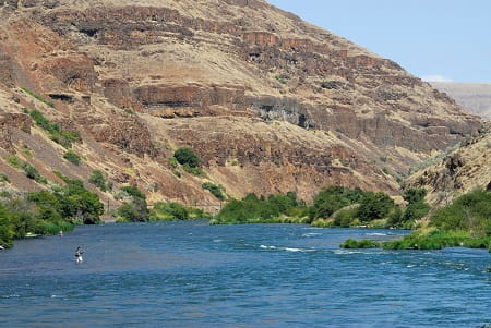 All About Oregon Steelhead Fishing