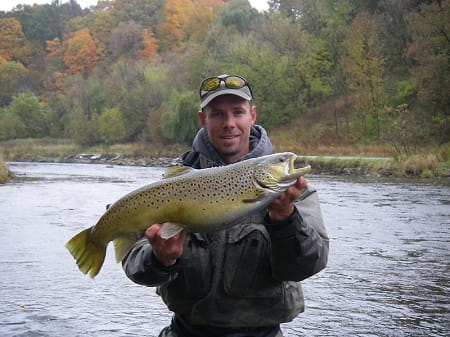 A lake Ontario migratory brown trout.