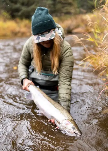 British Columbia Steelhead Fishing in the fall.