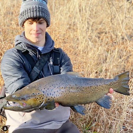 A dark spawning great lakes brown trout