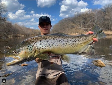 Great Lakes Brown Trout Fishing: An In-Depth Guide