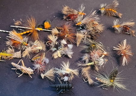 An assortment of dry flies.