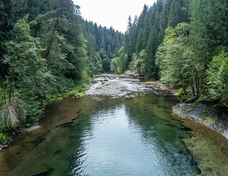 River like the McKenzie River and the Willamette River in western Oregon are scenic steelhead rivers