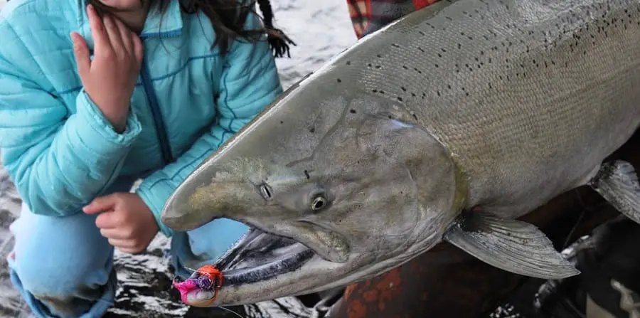 Salmon Fishing On The Salmon River Header