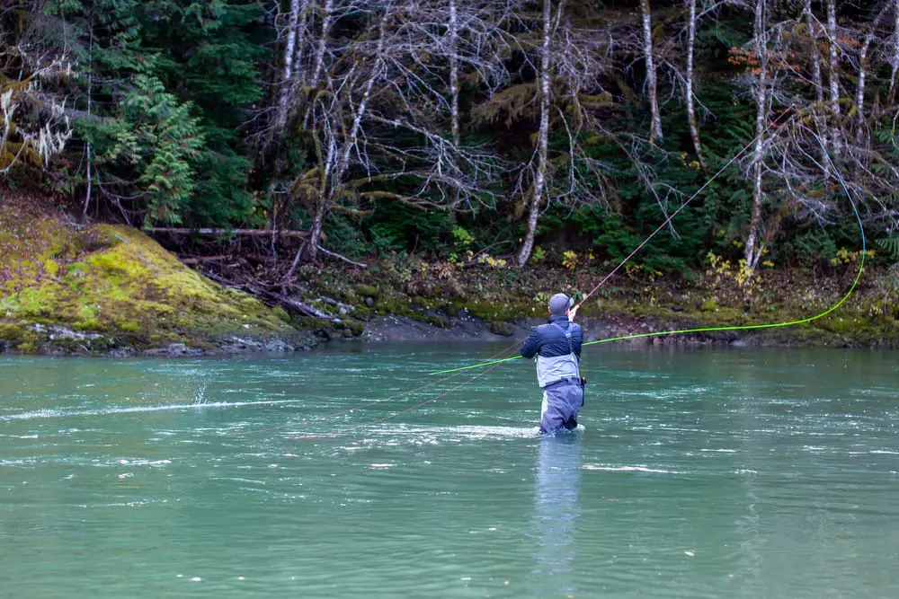 An angler British Columbia Steelhead fishing with a fly rod.