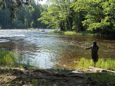 An angler fly fishing a river