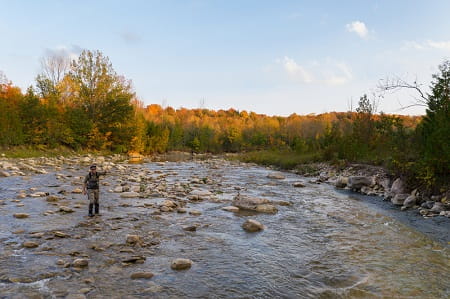 An angler steelhead fishing on a low clear river.