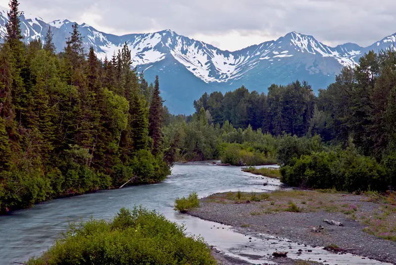 Alaska Salmon Fishing