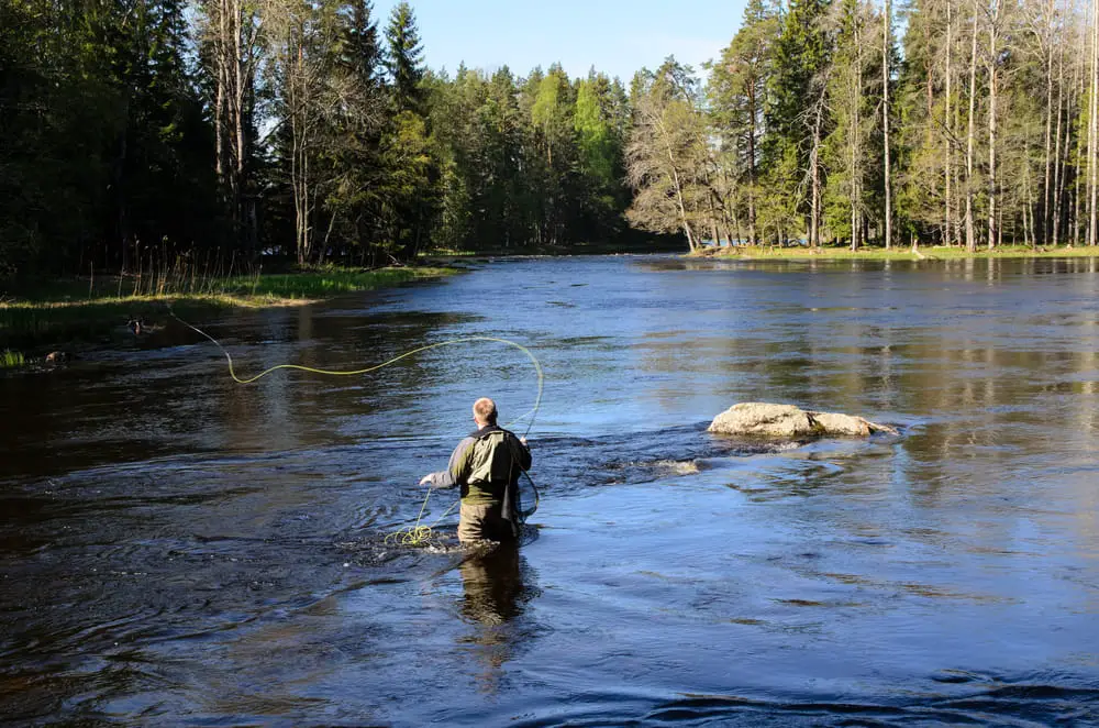 Streamer fishing for steelhead with a long cast 