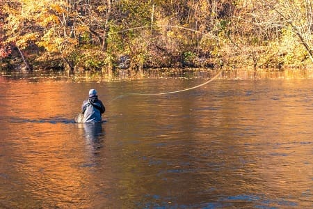 An angler fly fishing for great lakes brown trout