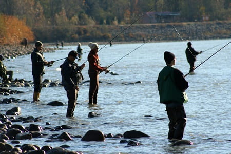 Many angler shore fishing
