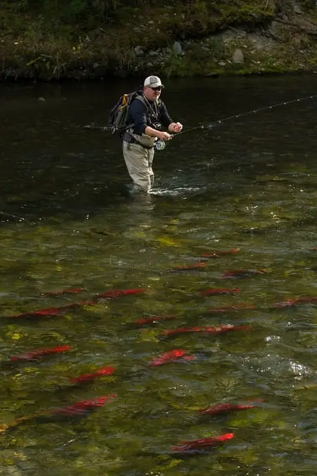 An angler fly fishing Alaska