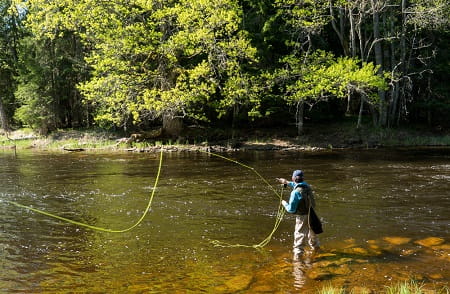 An Angler spring fly fishing in Virginia