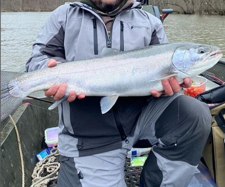 A happy client of Get Bent Guide Service with a nice fresh run spring steelhead