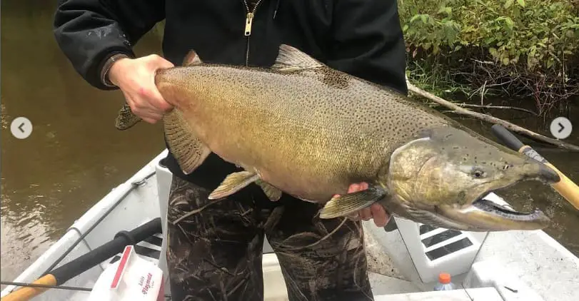 Alex From Fire Plug Charters with a nice River Salmon.