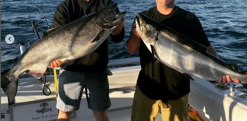 Boat Fishing For Michigan Salmon with Fire Plug Charters