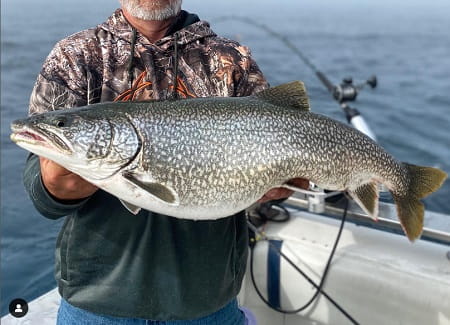 A fat Lake Michigan Lake Trout caught while out with Fire Plug Charters.