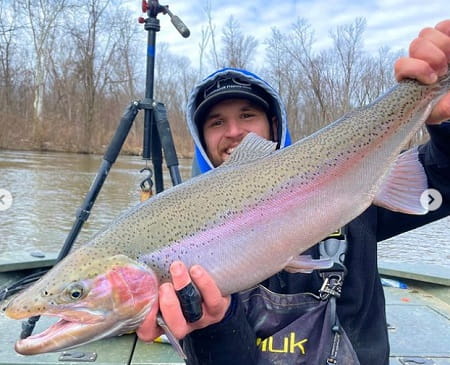 Spring steelhead fishing Michigan starts with lightly colored steelhead like this one.