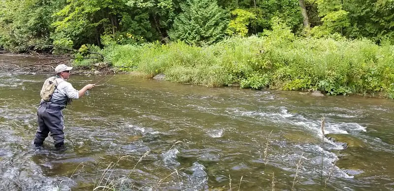 An angler fishing for trout.