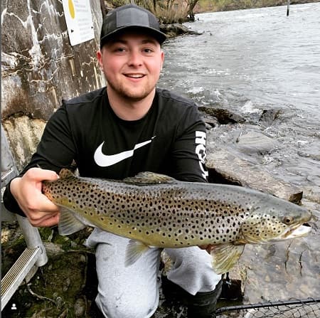 A nice high water brown trout