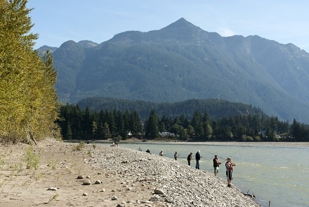 Shore fishing salmon on a west coast river