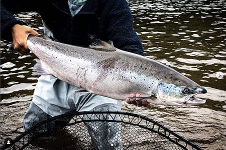 Jordan from A Perfect Drift Guide Company with a nice Atlantic salmon