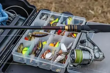 Trout Fishing Gear: The 5 Essentials & More 2024