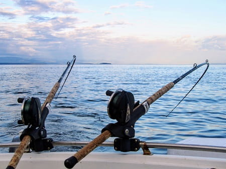 Trolling rods and reels in a rod holder.