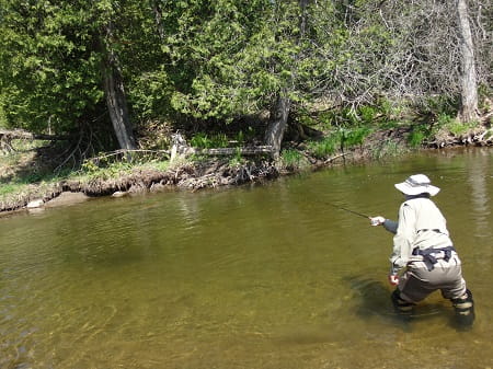 Fishing for trout often occurs in clear streams
