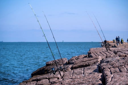 Rods in rod holders along a rocky shoreline
