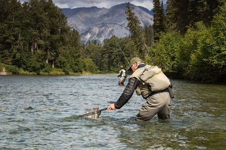 An angler netting a fish on a river.