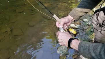 17 Best Fly Fishing Combos Of 2024: Buyers Guide - Trout Steelhead
