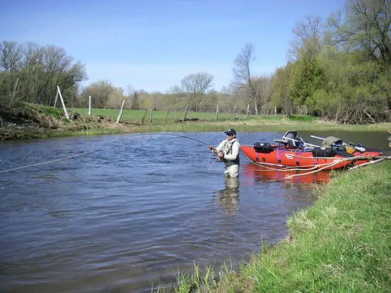 5 Best Fly Lines For Salmon Guide 2024