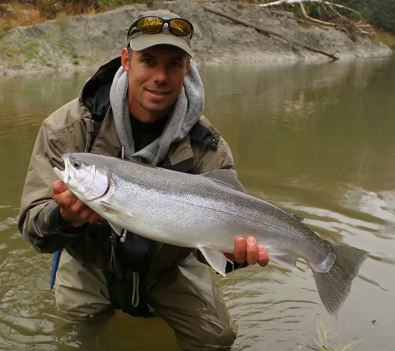 Guide graham with a sliver fresh run steelhead.