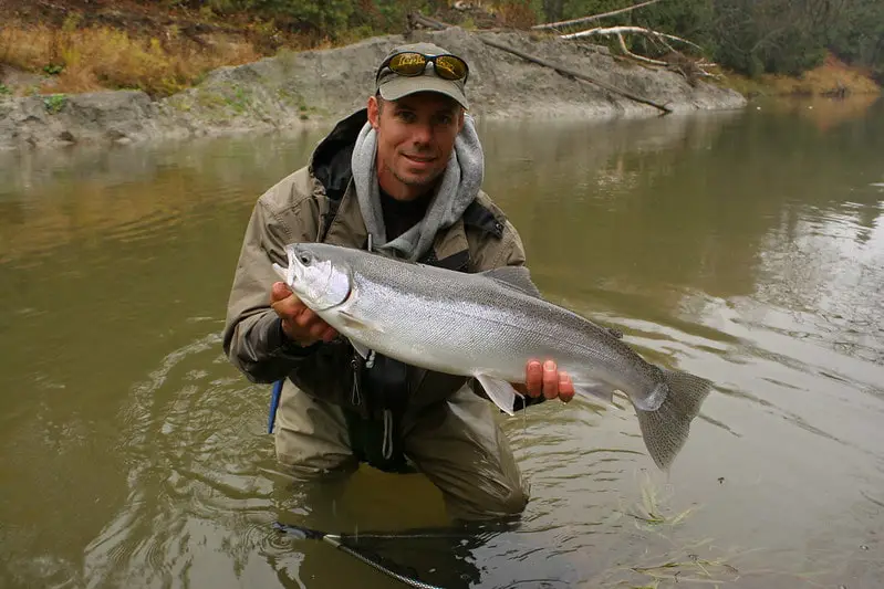 Steelhead fishing with Powerbait can be good for fresh run steelhead like this one I am holding.