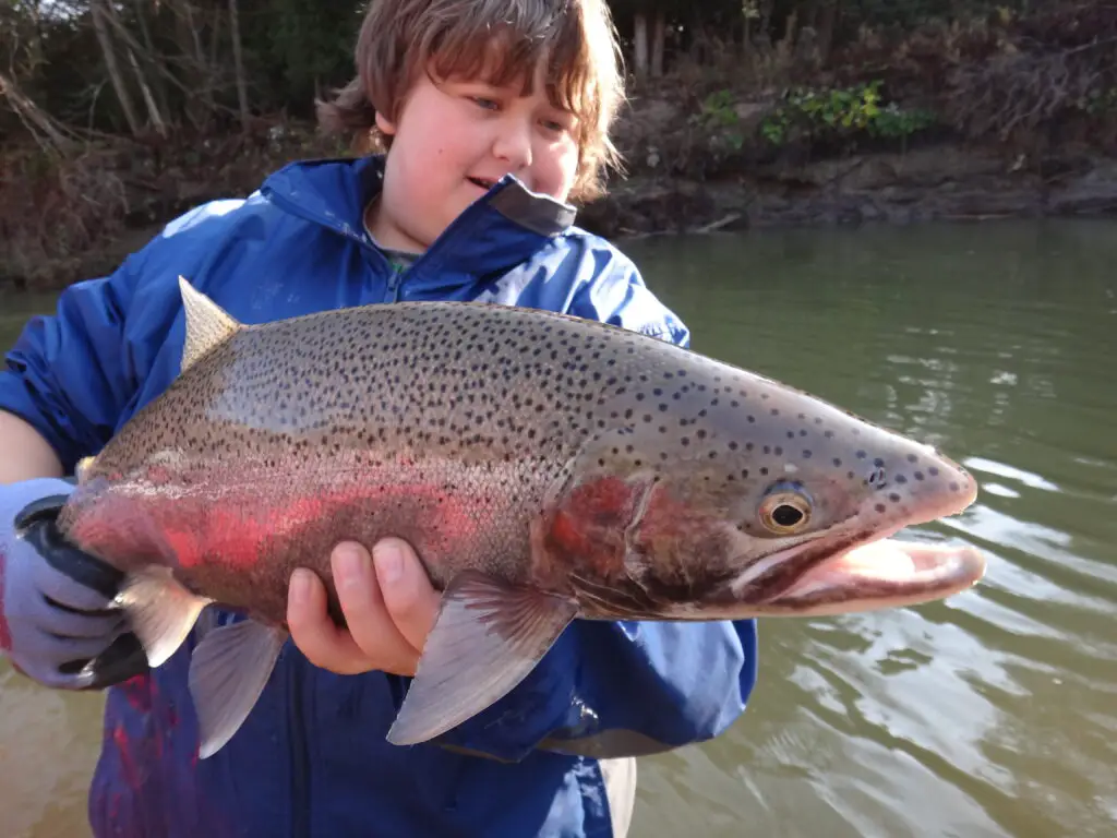 A young boy with one of many big steelhead he caught while on a guide trip with me.