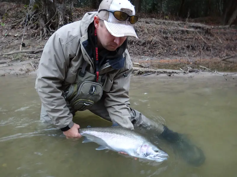 An angler with a nice steelhead from Sandy Creek just east of Rocester.