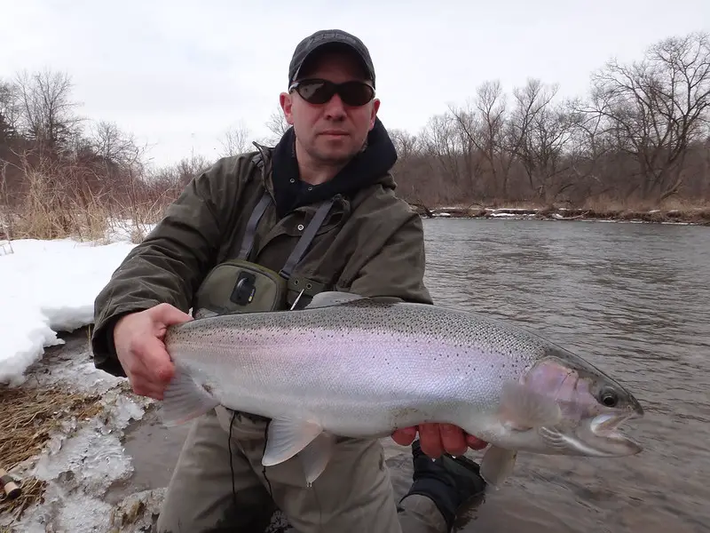 A steelhead caught near the upper sections of Cattaraugus Creek,