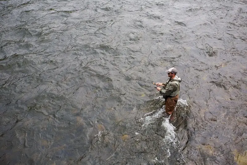 Angler fishing crankbaits for steelhead