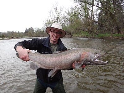 When I'm guiding, I sometimes get to net some massive steelhead and without a good steelhead fishing leader we would catch a lot less fish.