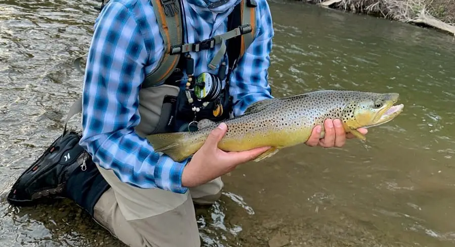 A freind of mine with a nice brown trout caught trout fishing in July in a spring fed creek.