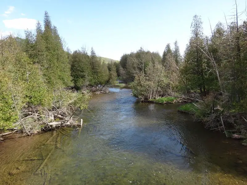 A nice trout river with wood along the banks