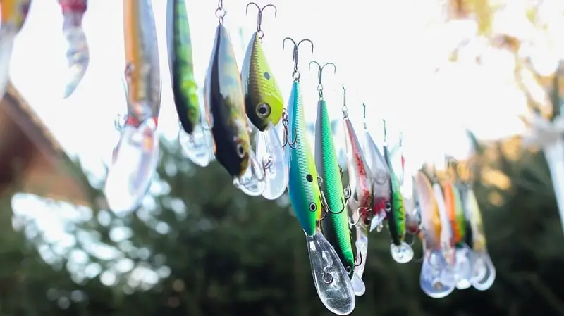 an assortment of lures for Trout Fishing in Lakes