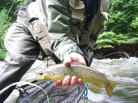 Fishing for trout with corn is best done in faster water.