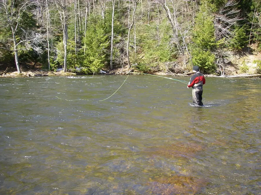 The weight fly rod for steelhead on great lakes river like the salmon river is a 7 weight.