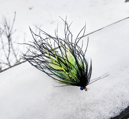 One of Gareth Thomas's best Spey flies for Ohio Steelhead Fishing