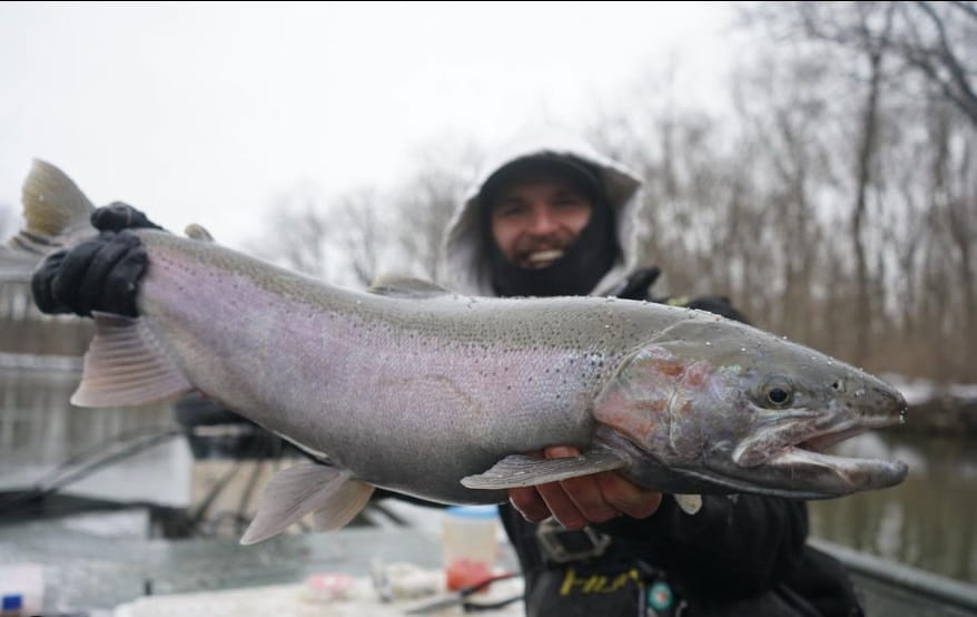 John from Get Bent Guide Service with a big river steelhead.