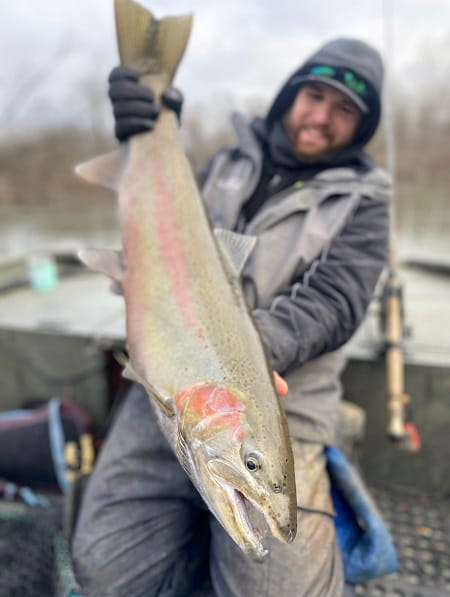 John from get Bent Guide Service with a huge steelhead caught on one of his steelhead fishing rigs.