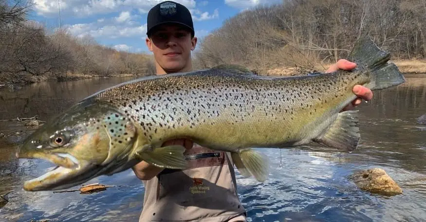 This huge brown trout caught by our team photographer is a result of float fishing in Wisconsin.