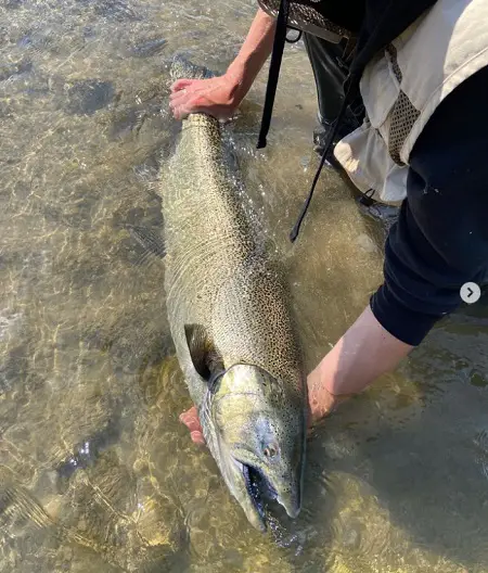 Salmon fishing with minnows in rivers can pay off with big salmon like this one from our team photographer Noah.